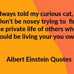 Albert Einstein Smart Quotes