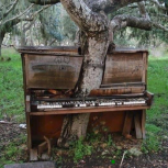 Abandoned Piano With Broken Keys In Louisiana 