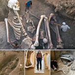 Well Preserved Giant Skeleton and Bones