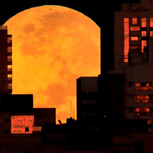 Red Moon Seen In The Middle Of Two Buildings in New York City