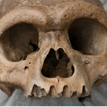 Dragon Man Skull Found In China