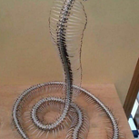 Them Bones Of A King Cobra Snake Skeleton Standing