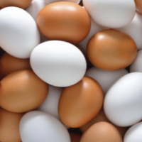 Chicken Eggs