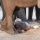 New Born Baby Elephant Must Stand And Walk Today