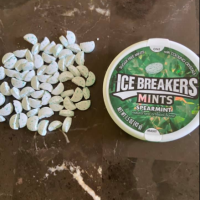 Icebreaker Mints