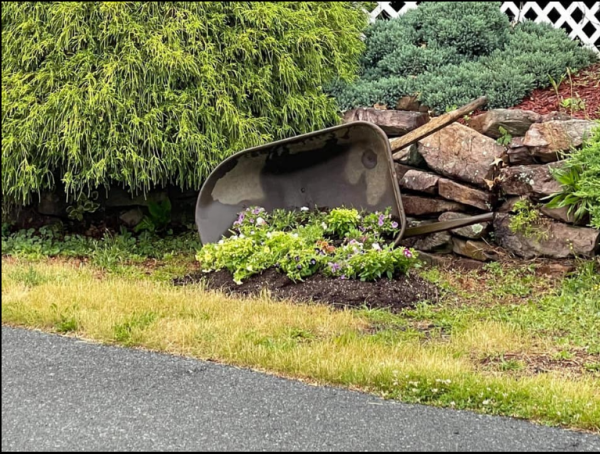 Repurposed A Broken Wheel Barrow To Make Spilling Flowers