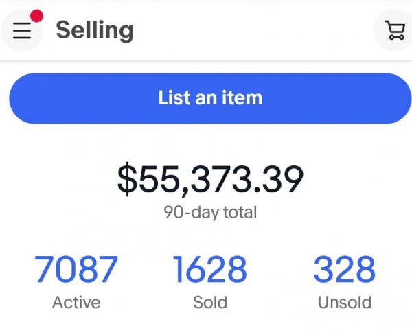 Ebay Selling Store Business