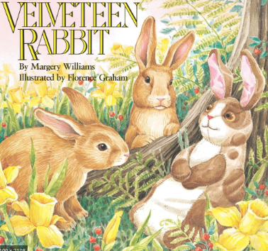 Velvetenee Rabbit